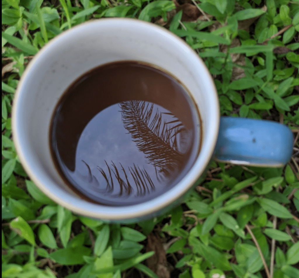 Tea